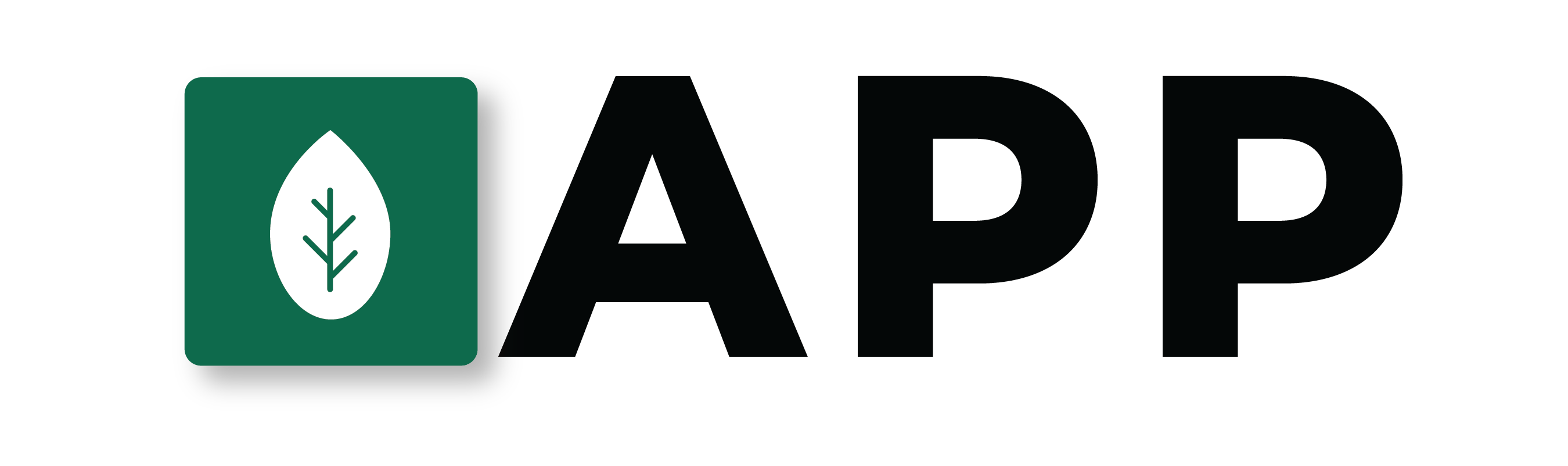 Grace App
